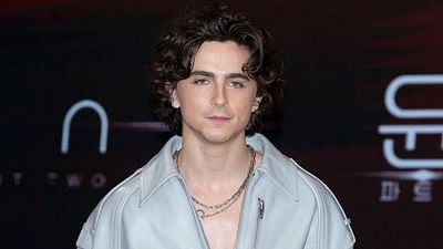 La razón por la que Timothée Chalamet es objetivo de miles de críticas hacia los Oscar 2026 noticias imagen