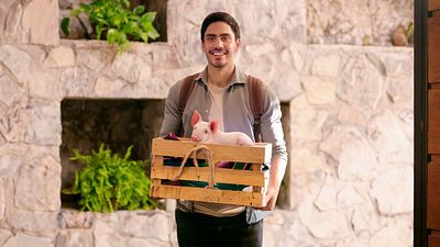 Todo lo que Netflix debería resolverse en la temporada 2 de 'El niñero' noticias imagen