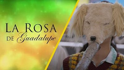 Los Therians llegaron a ‘La Rosa de Guadalupe’: esta es la historia del nuevo capítulo que ya estrenó en TV noticias imagen