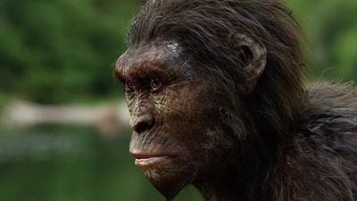 Esta película de ciencia ficción es perfecta si buscas diversión, escenas de acción y una actriz súper famosa noticias imagen