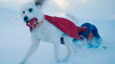 James Gunn comparte la imagen más tierna hasta el momento de Krypto, el perro que se ha robado el corazón de los fans de Superman noticias imagen