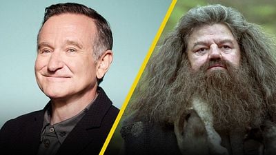 Ser rechazado para el papel de Hagrid en Harry Potter por no ser británico fue el dolor oculto de Robin Williams noticias imagen