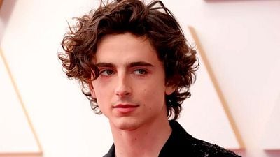 Esta película de Timothée Chalamet nominada al Oscar será eliminada de Netflix (no es ‘Duna’) noticias imagen