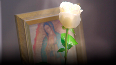 'La rosa de Guadalupe': esta es la fecha de estreno para la temporada 17 en Televisa noticias imagen