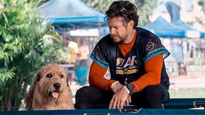 Mark Wahlberg quiso adoptar al perrito de ‘Arthur: una amistad sin límites’ pero no lo hizo por esta razón noticias imagen