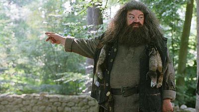 'Harry Potter': Uno de sus personajes más queridos tiene un tierno peluche a un precio irresistible en Amazon noticias imagen