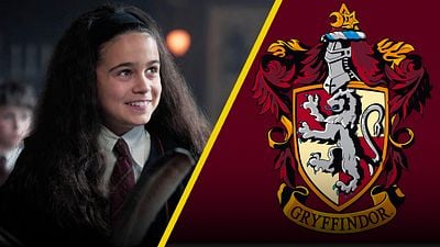 Los fans de Harry Potter explotan contra HBO Max tras revelar los controvertidos nuevos escudos de las Casas de Hogwarts noticias imagen