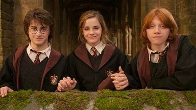 Los dos personajes de Harry Potter que no aparecieron en las películas y que sí veremos en la serie de HBO Max noticias imagen