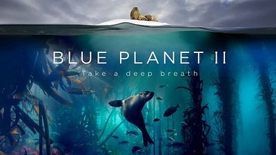 'Blue Planet II' es el programa más visto del año. 
 noticias imagen