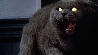 'Cementerio de mascotas' Una nueva versión será estrenada en 2019 noticias imagen