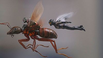 'Ant-Man and the Wasp': El reino cuántico se abre en el nuevo tráiler noticias imagen