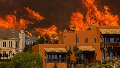 Cada vez son más las celebridades afectadas por el fuego