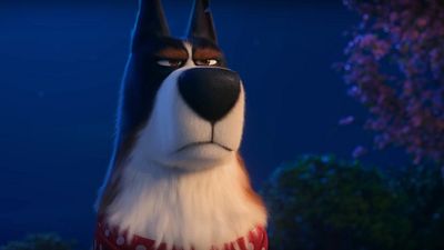 'La vida secreta de tus mascotas 2': Harrison Ford es idéntico a su personaje en el nuevo avance. noticias imagen