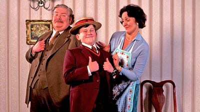 ¿Por qué los Dursley odiaban a Harry Potter? noticias imagen
