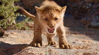 'El rey león' ruge a sus rivales en su segundo fin de semana noticias imagen