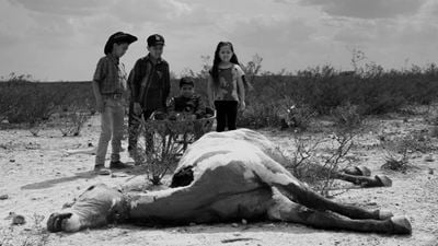 FICM 2019: Rulfo y Buñuel en 'El paraíso de la serpiente'