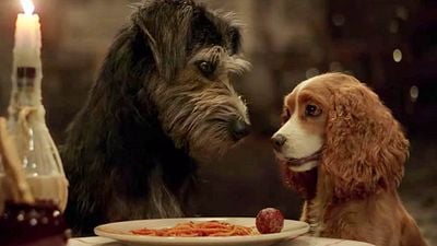 'La dama y el vagabundo': Las primeras reacciones adoran a los perritos noticias imagen