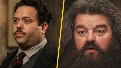 'Animales fantásticos 3': Dan Fogler quiere que Jacob Kowalski  sea niñera de Hagrid noticias imagen