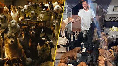 Joven refugió a cientos de animales del huracán Delta y su heroísmo nos recordó a 'Hotel para perros' noticias imagen