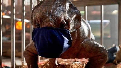 'Jurassic World 3': Detienen el rodaje de la película por casos positivos de coronavirus noticias imagen