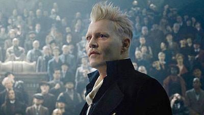 Johnny Depp es despedido de la franquicia de 'Animales fantásticos' noticias imagen
