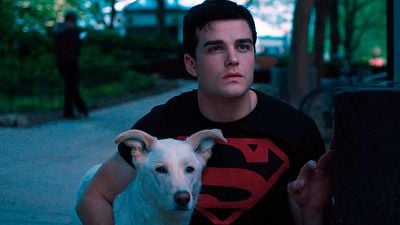 'Titans': Krypto sufre un cambio de perro y ahora será un adorable canino de rescate noticias imagen