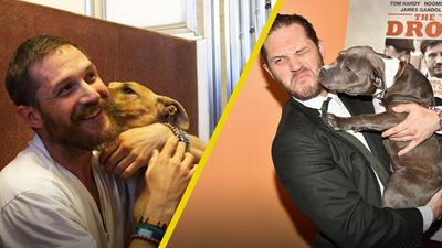 'Venom 2': Tom Hardy confiesa por qué ama más a los perros que a los humanos