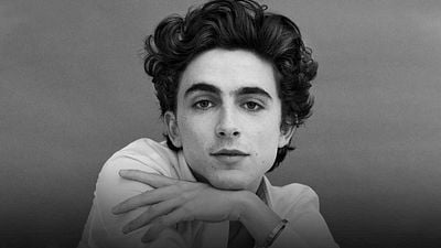 'La crónica francesa': La participación de Timothée Chalamet en 'La Ley y el Orden' que ya olvidaste noticias imagen