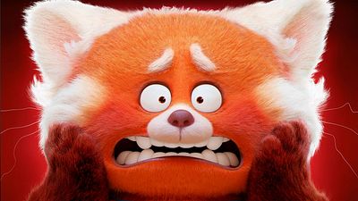 'Red': ¡Un oso panda rojo se adueñó de las redes sociales de Sensacine México! noticias imagen