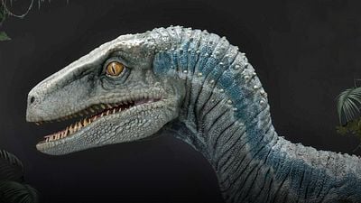 'Jurassic World: Dominio’: ¿Por qué los velocirraptores siempre obedecen la señal de Owen Grady?
 noticias imagen