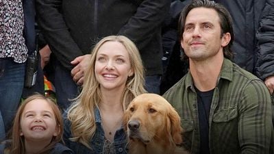 'Hachiko' y las películas de perritos que te harán llorar en Azteca 7 noticias imagen