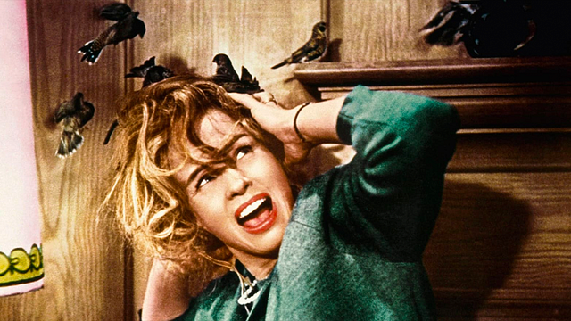 ¡Como película de terror! Miles de pájaros negros invaden una ciudad noticias imagen