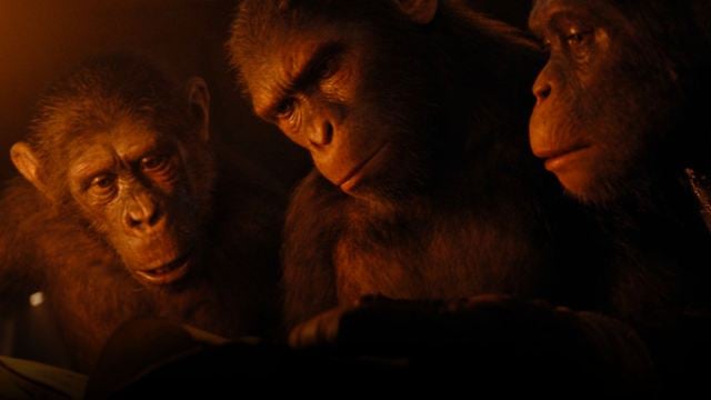 ‘El planeta de los simios: Nuevo reino’: Director reacciona ante la inteligencia de un simio real y lo compara con su película