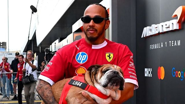 Más que una mascota: el legado de Roscoe, el perro de Lewis Hamilton que le rompió el corazón al mundo entero y paralizó la Fórmula 1 noticias imagen