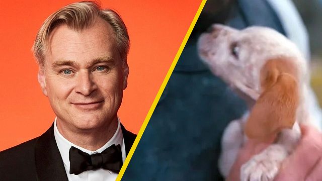 ‘La Odisea’ fue posible gracias a un perro: quién es Argos y por qué fue fundamental para Christopher Nolan noticias imagen