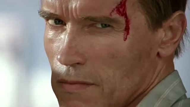 La vez que James Cameron llamó "idiota" a Arnold Schwarzenegger y vivió para contarlo