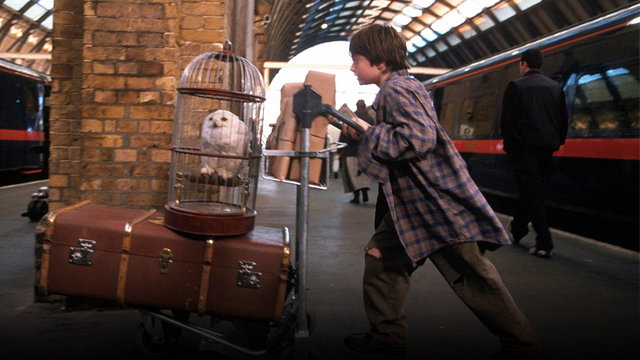 Toda la magia de Harry Potter y Hogwarts llega a la CDMX con esta experiencia inmersiva de éxito internacional noticias imagen