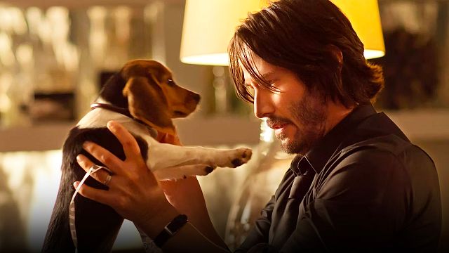 Si pausas 'John Wick' en el minuto 9, verás 5 mil dólares en popó de perro (la escena más ridícula de Keanu Reeves) noticias imagen