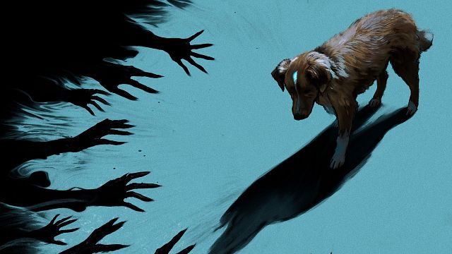 La película de terror que aumentó 1000% de búsquedas en Google: usuarios preocupados se hacen esta pregunta sobre ‘Good Boy’ noticias imagen