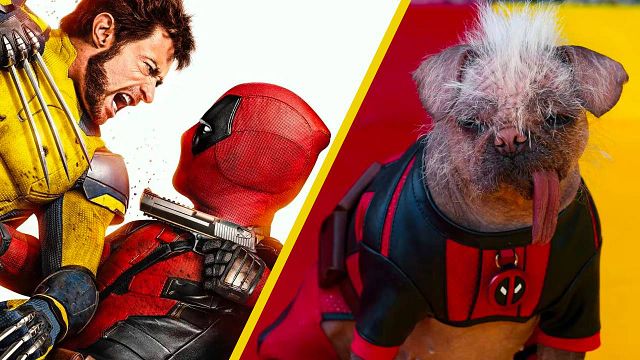 Conoce a Peggy, el perro más feo del mundo que se convirtió en una estrella en 'Deadpool 3' noticias imagen