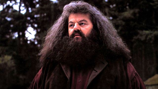 10 imágenes que demuestran que Hagrid fue un padre para Harry Potter