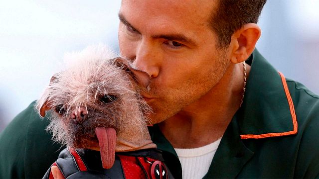 “Feo mi ex, ella es hermosa”: Fans reaccionan a la perrita de ‘Deadpool 3’ noticias imagen