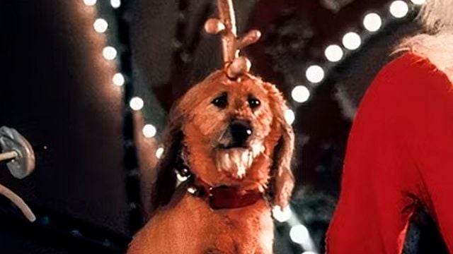 El clásico navideño favorito de tu infancia regresa a Cinemex: a partir de cuándo podrás ver ‘El Grinch’ en cines de México noticias imagen