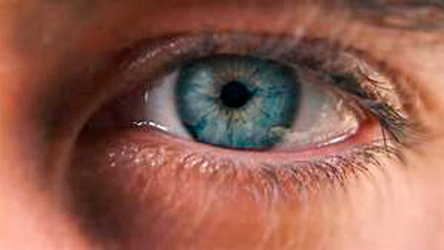 ¡No es latina! Esta es la peor comedia de todos los tiempos según los fans noticias imagen