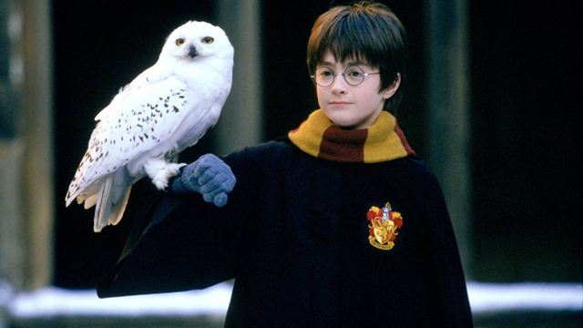 Consigue este tierno peluche de 'Harry Potter' por menos de 250 pesos