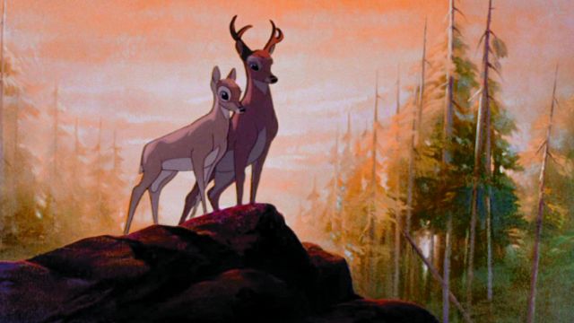 5 años de trabajo y animales vivos: así hicieron esta película de Disney noticias imagen