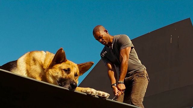 "Íbamos a hacer una precuela, pero dijimos, ¿y si seguimos tras el final alternativo?": Will Smith perfila un nuevo futuro para 'Soy Leyenda' noticias imagen