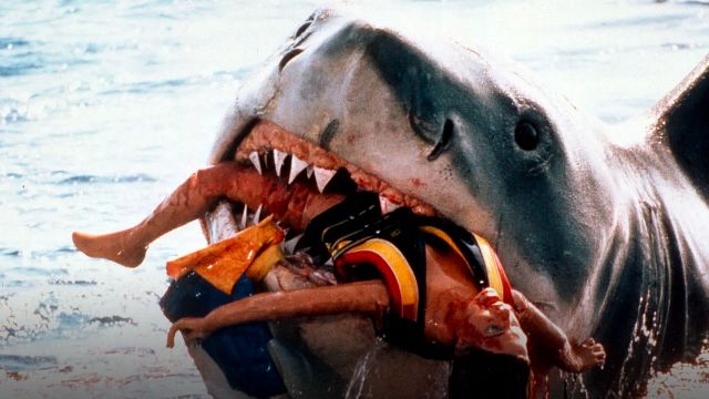 Mujer es violentamente atacada por tiburón y hace realidad película de Steven Spielberg noticias imagen