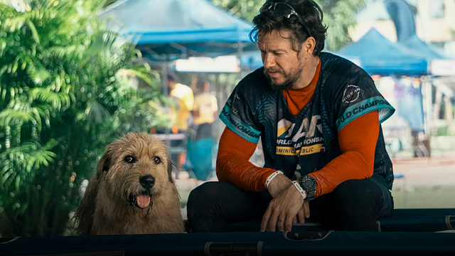 ‘Arthur’: La increíble historia de la vida real que inspiró la película con perritos de Mark Wahlberg noticias imagen
