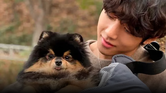 "Se embarcó en un largo viaje": Con estas palabras Taehyung anuncia la muerte de su perrito Yeontan noticias imagen